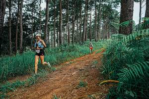 BIB: 
                            <button type="button" onclick="openModal(25689962)" class="btn btn-primary btn-sm float-right btn-popup" data-toggle="modal" data-target=".modal-high-quality">
                        <i class="fas fa-shopping-cart"></i> Add to Cart
                    </button>
                                            <button type="button" onclick="isThisMe(25689962, true)" class="btn btn-success btn-sm float-right btn-popup btn-isme hidden" data-toggle="tooltip" data-placement="bottom" title="นี่คือรูปของคุณใช่ไหม คลิกที่นี่เพื่อเอาเข้าอัลบั้ม">
                        <i class="fas fa-plus"></i> Add to album
                    </button>
                    <button type="button" onclick="isThisMe(25689962, false)" class="btn btn-warning btn-sm float-right btn-popup btn-isnotme hidden">
                        <i class="fas fa-ban"></i> Remove from album
                    </button>